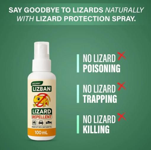 Lizard Repellent Spray 100Ml (Bye 1 Get 1 Free)